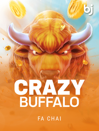CRAZY BUFFALO